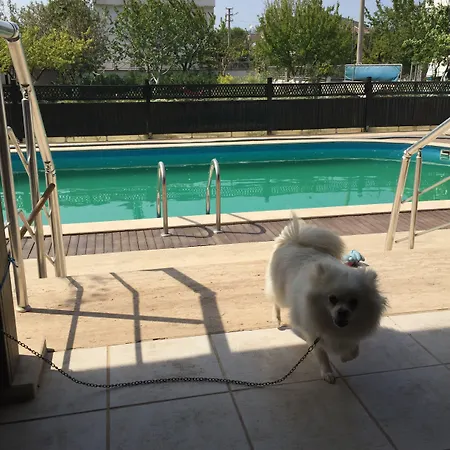 Ξενοδοχείο με διαμερίσματα Dardanos